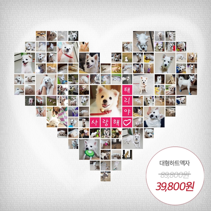 요기당 이미지