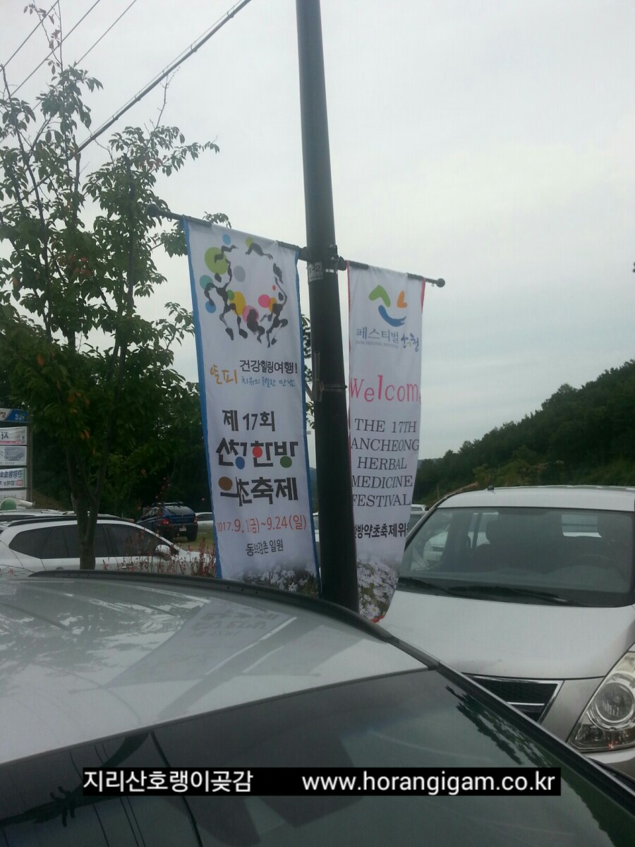 인스브레인 이미지