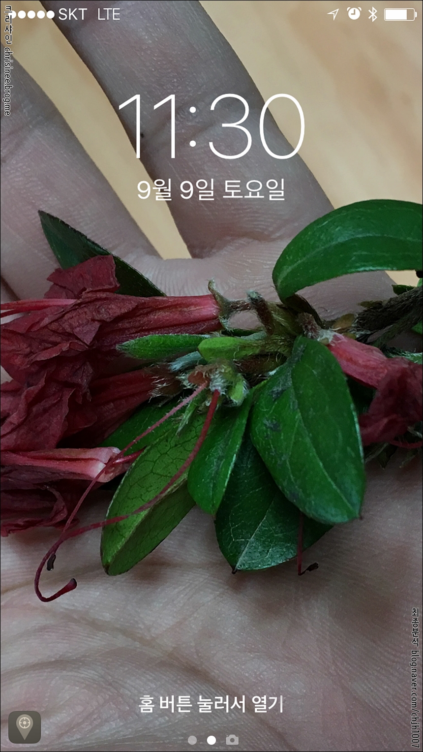 신울산횟집 이미지