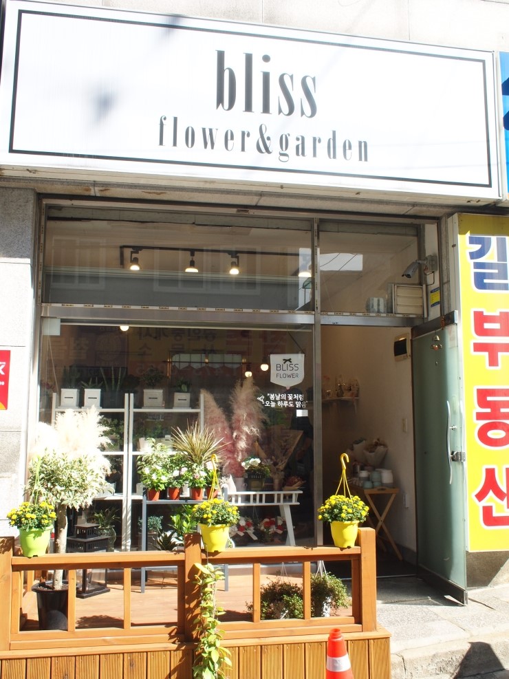 블리스플라워 이미지