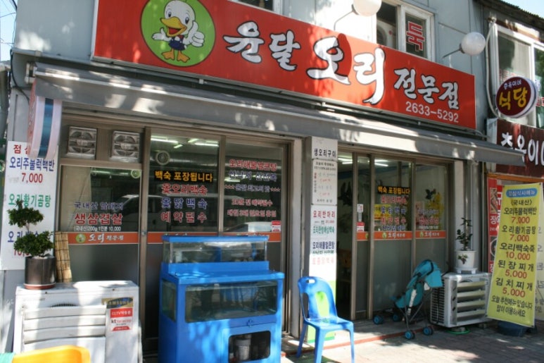 윤달오리 이미지
