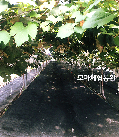자이사랑어린이집 이미지