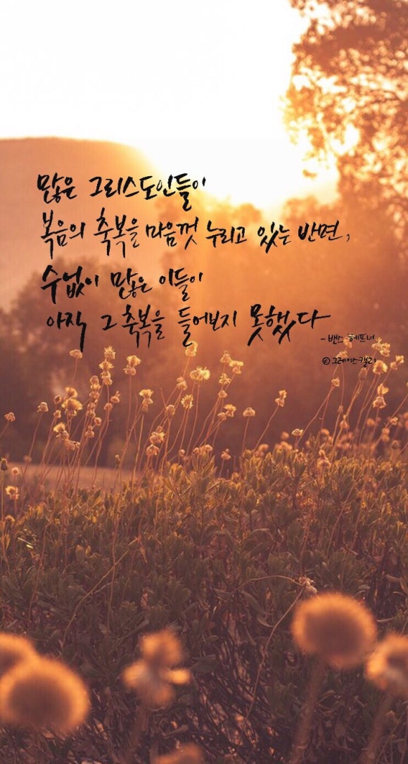 은혜유통 이미지