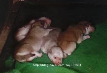 신세계농원 이미지