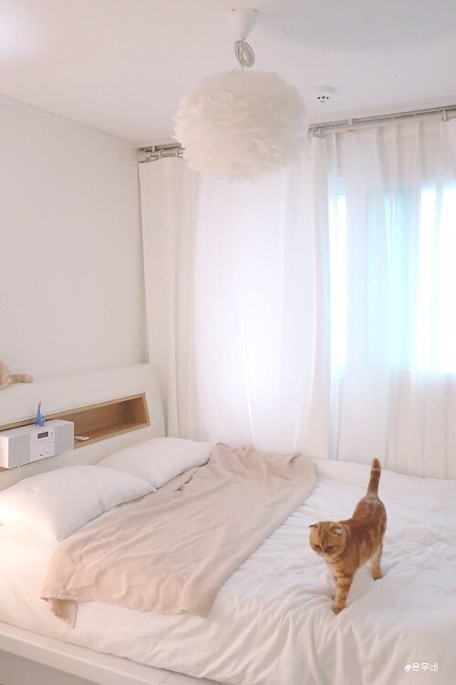 화인조명 이미지