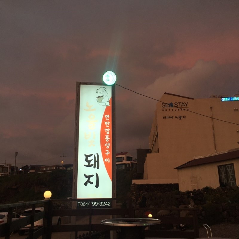 노을빛돼지 이미지