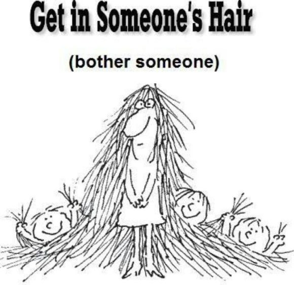 ONE HAIR 이미지