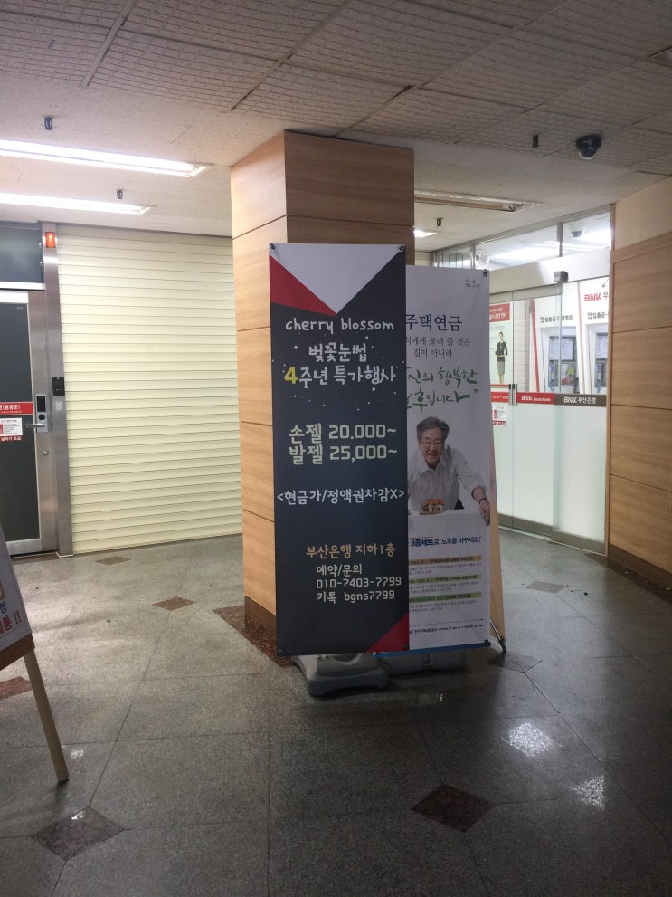 비브피시방 이미지