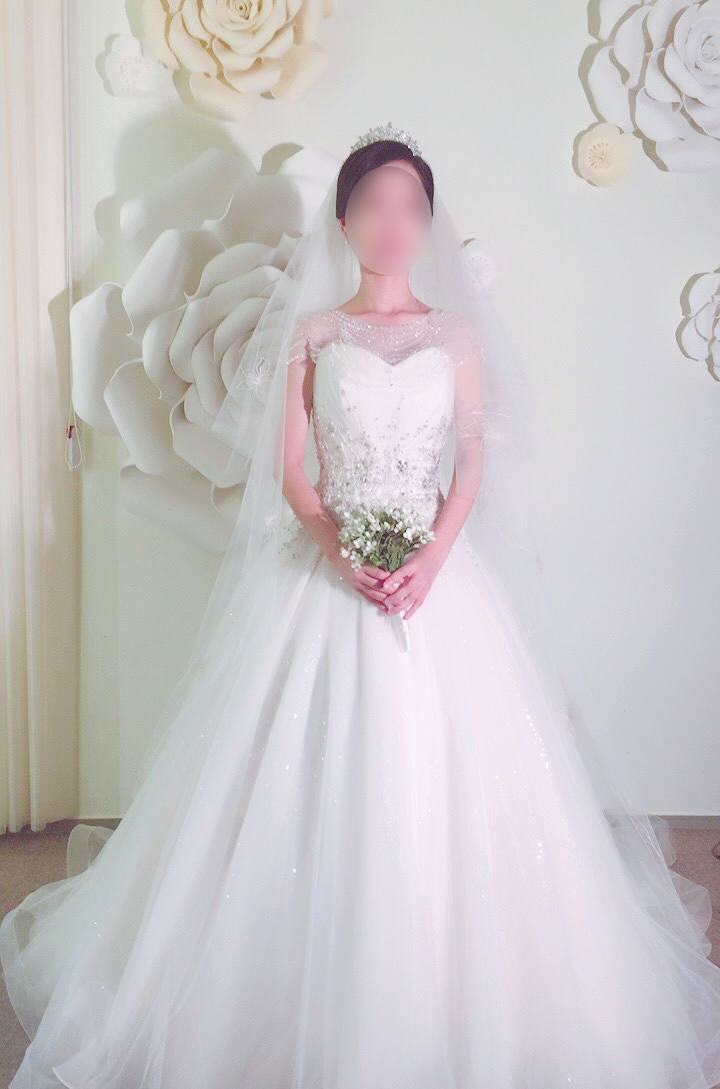 브라이덜베가 이미지