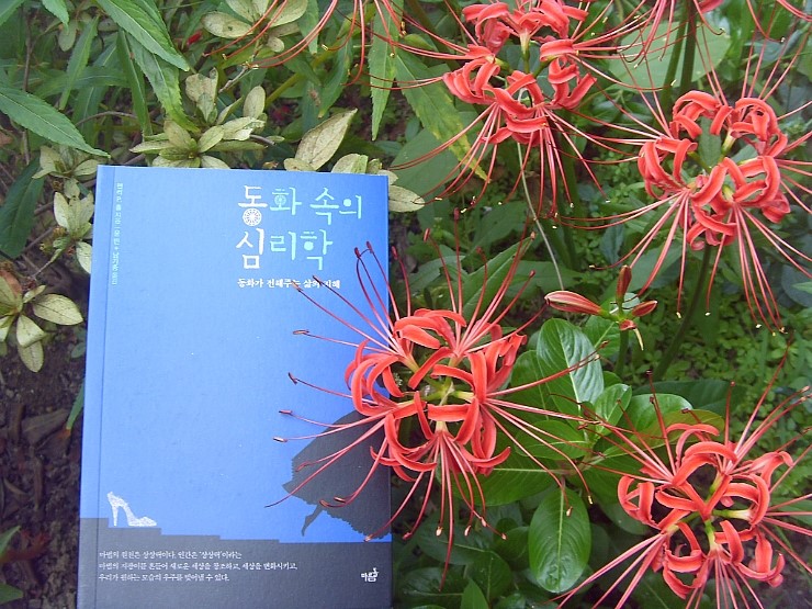 서광서적 이미지