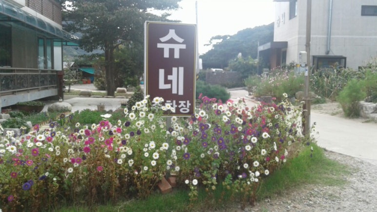 슈슈네가게 이미지