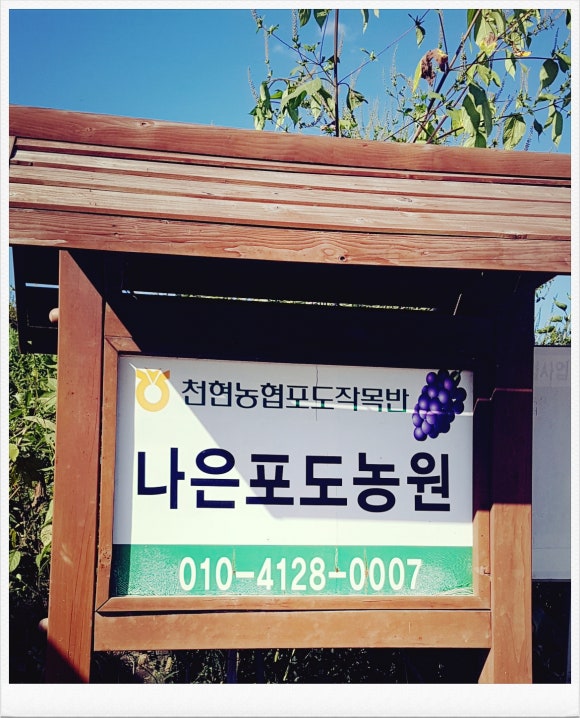 천현농협협동조합 이미지