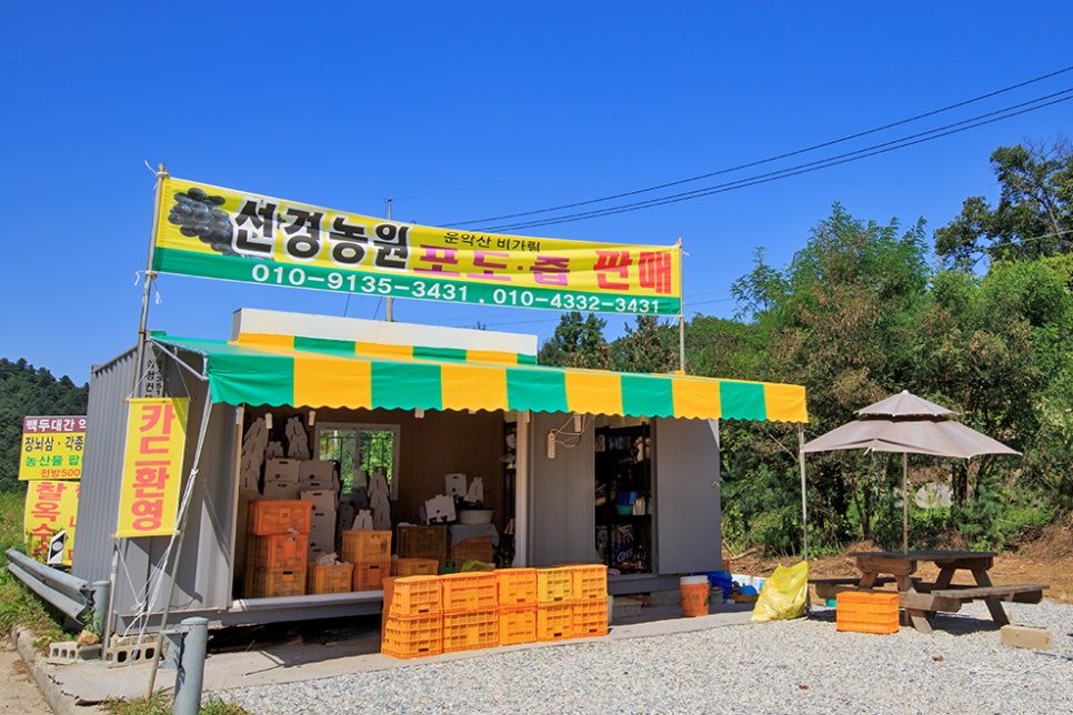 선경주유소 이미지