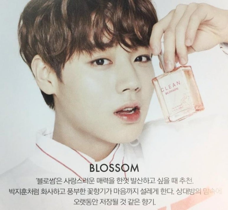 원에클린 이미지