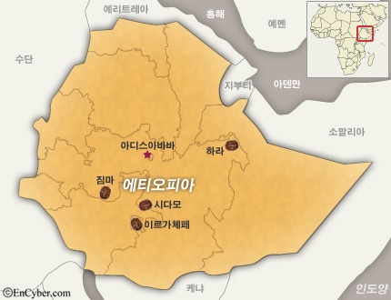 모코커피 이미지