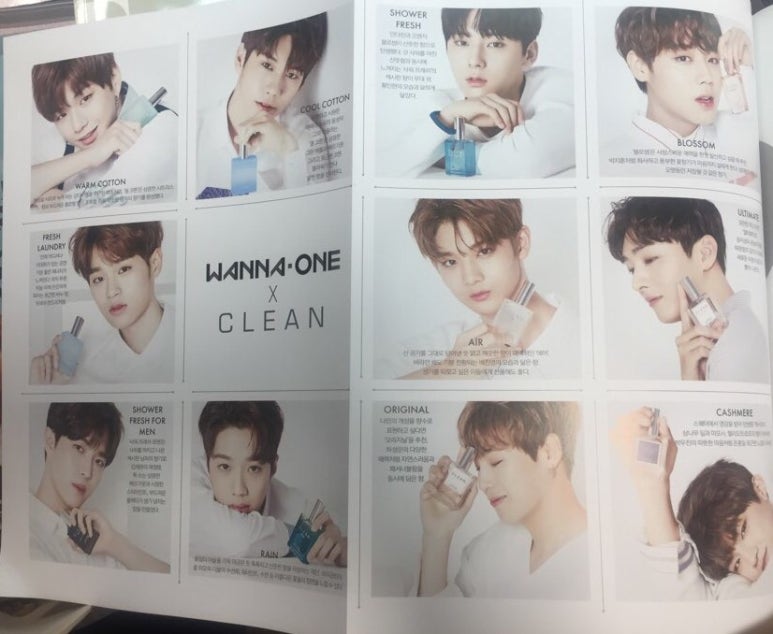 워너클린 이미지