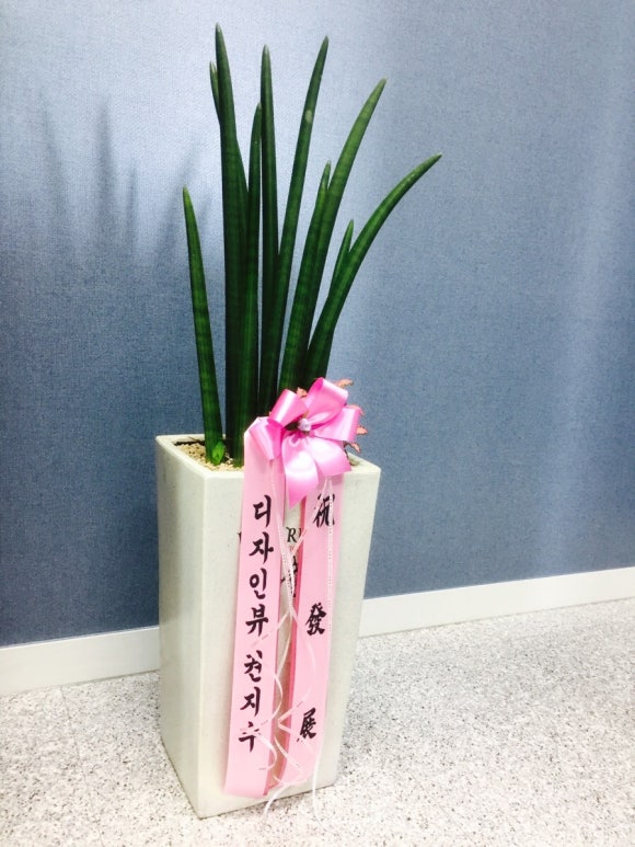 정공인회계사무소 이미지