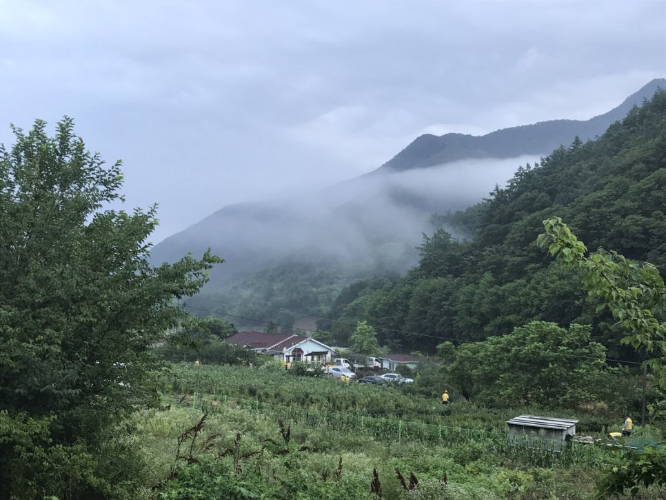 자미원 이미지