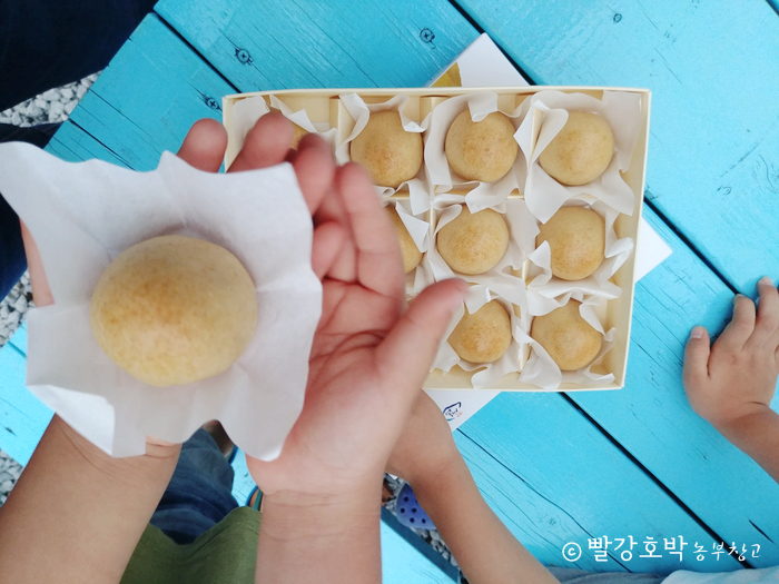동글동글 빵공장 이미지