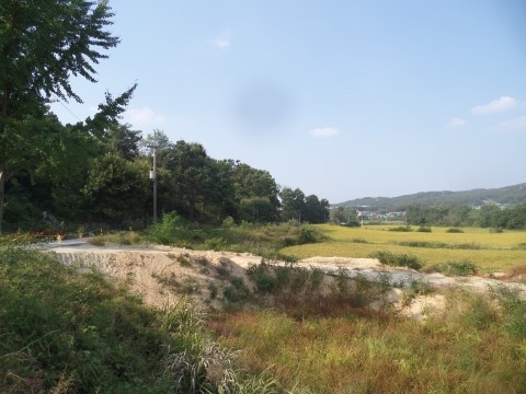 도시네트워크행정사 이미지