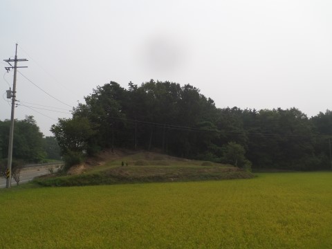 대한행정사호남사무소 이미지