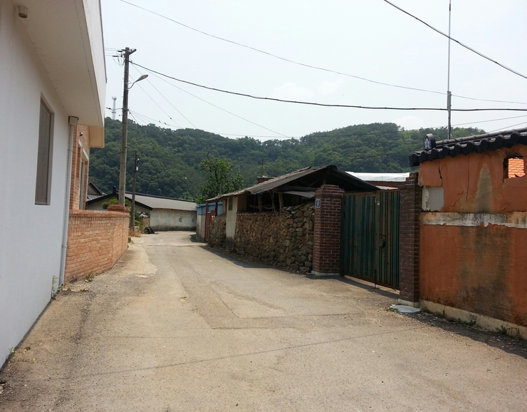 누룩꽃이 핀다 이미지