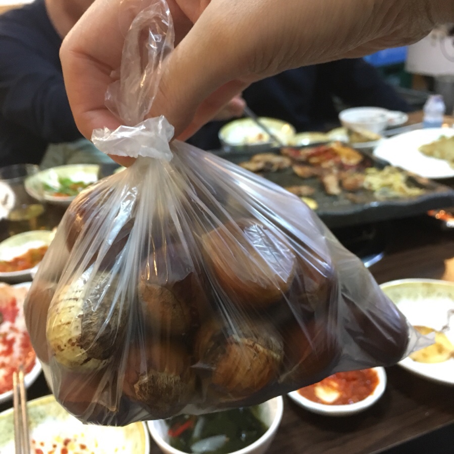 도새기짱 이미지