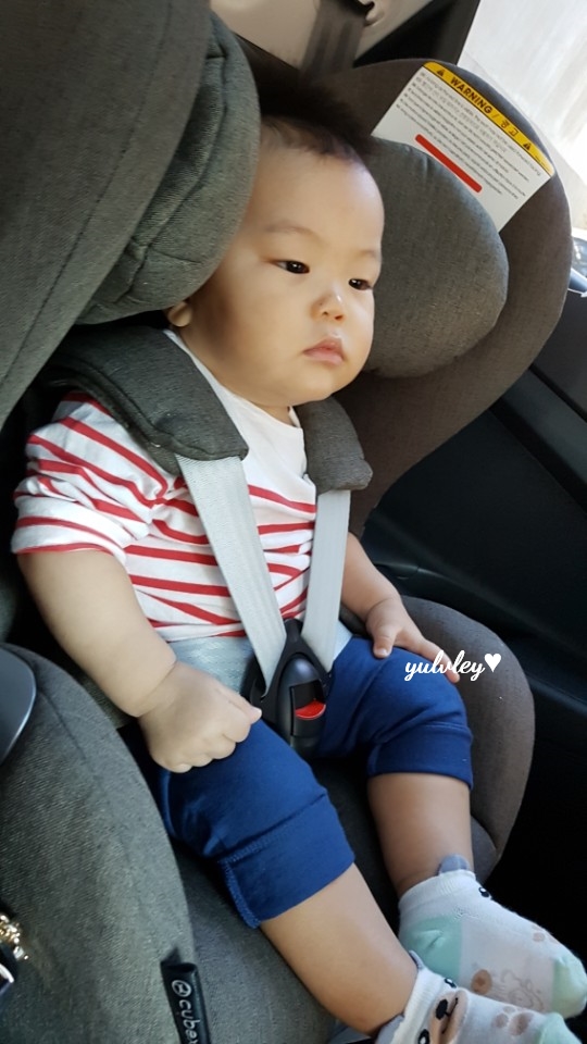 블루독베이비현대 이미지