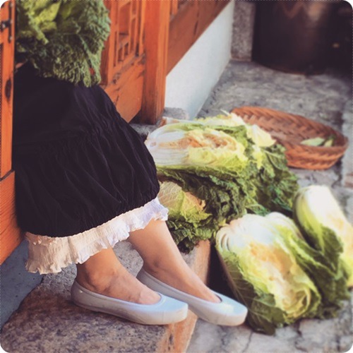 평창김치 이미지