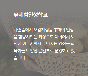 비지연구소 이미지