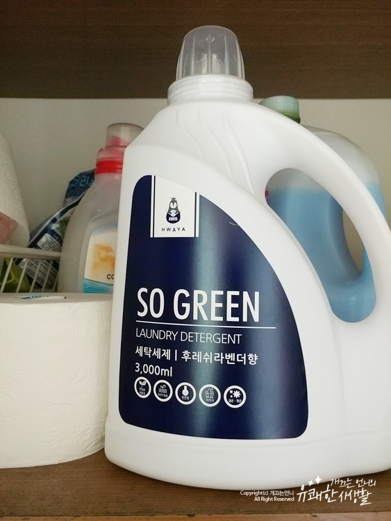 쏘그린 이미지