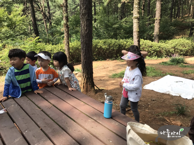 나들아이 이미지