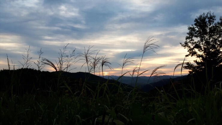 축령산휴림 이미지