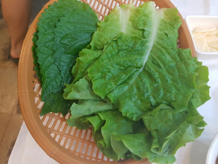 금호수산 이미지