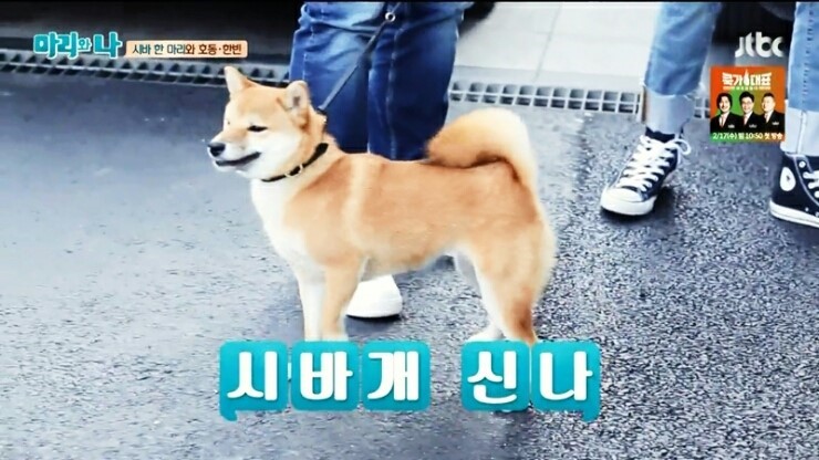 딜리커피 이미지