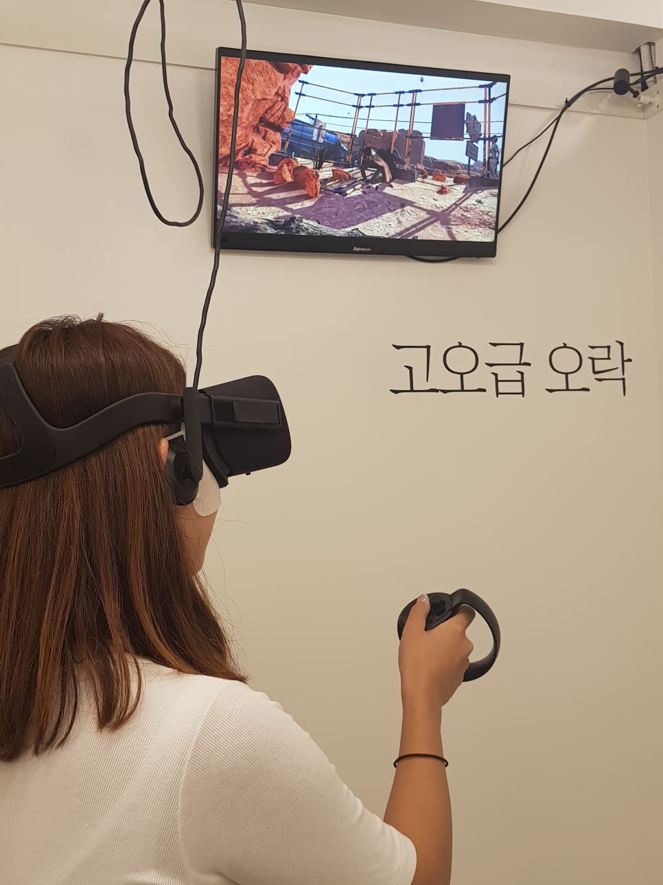 브이레인 이미지
