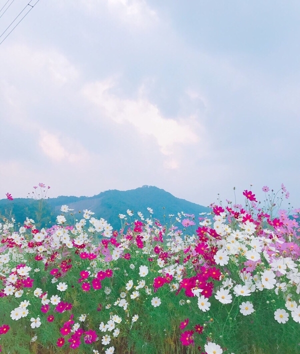 미주치과의원 이미지