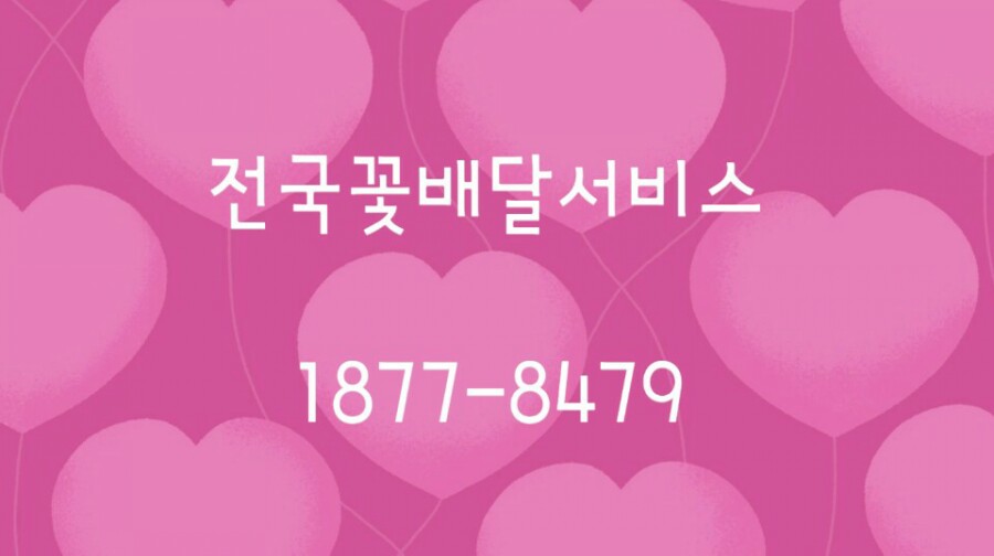 전국꽃배달 이미지