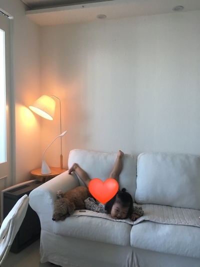 제이키즈푸드 이미지