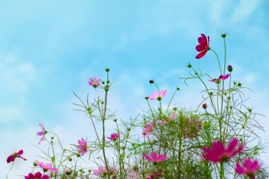 장*욱 이미지