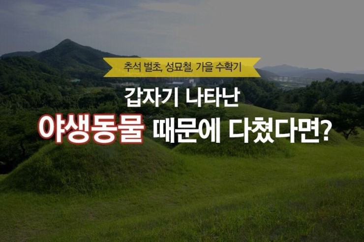 (주)경북안전 이미지