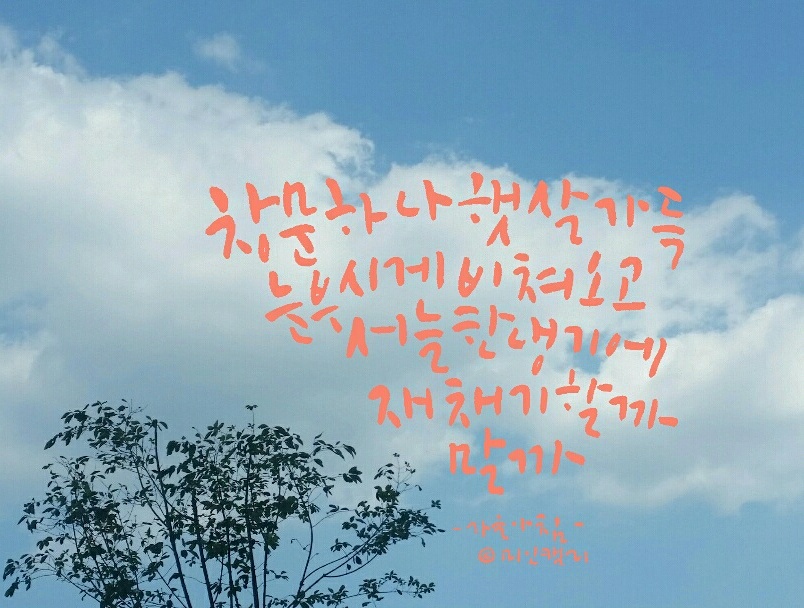 대구혁신미인캘리그라피 이미지