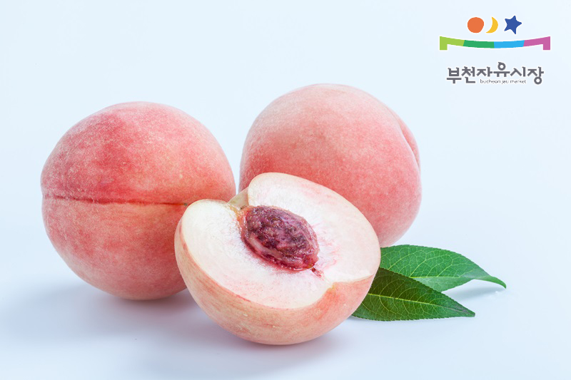 과일의모든것 이미지