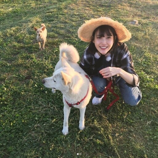 정이민박 이미지