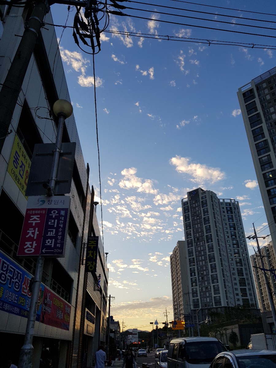 덤앤덤쪽갈비 이미지