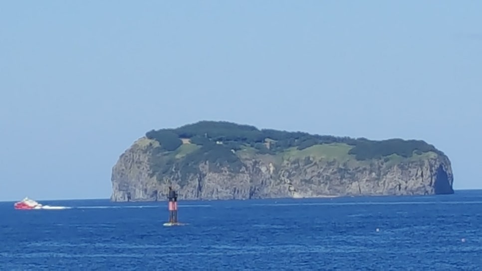 울릉스타투어 이미지