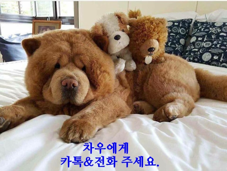 젠틀맨카용인 이미지