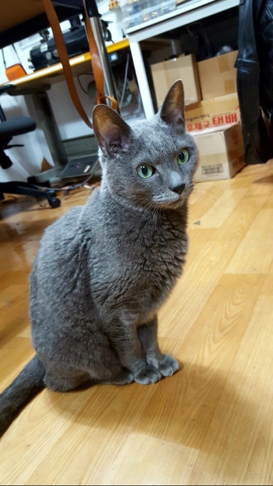 루씨르가죽공방 이미지