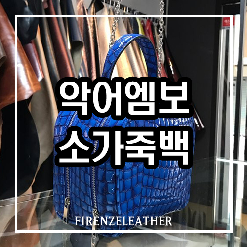 아메스코테스 이미지