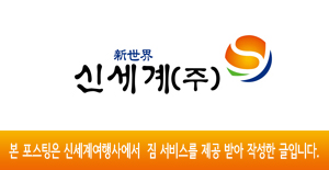 신세계국제여행사 이미지